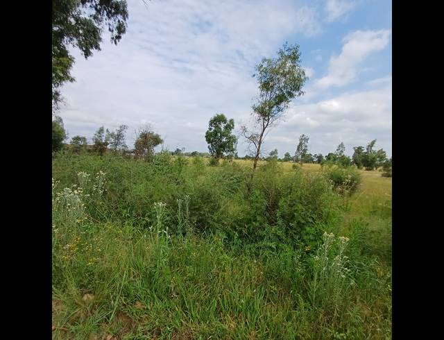 87,023M² VACANT LAND FOR SALE IN OPHIR AH